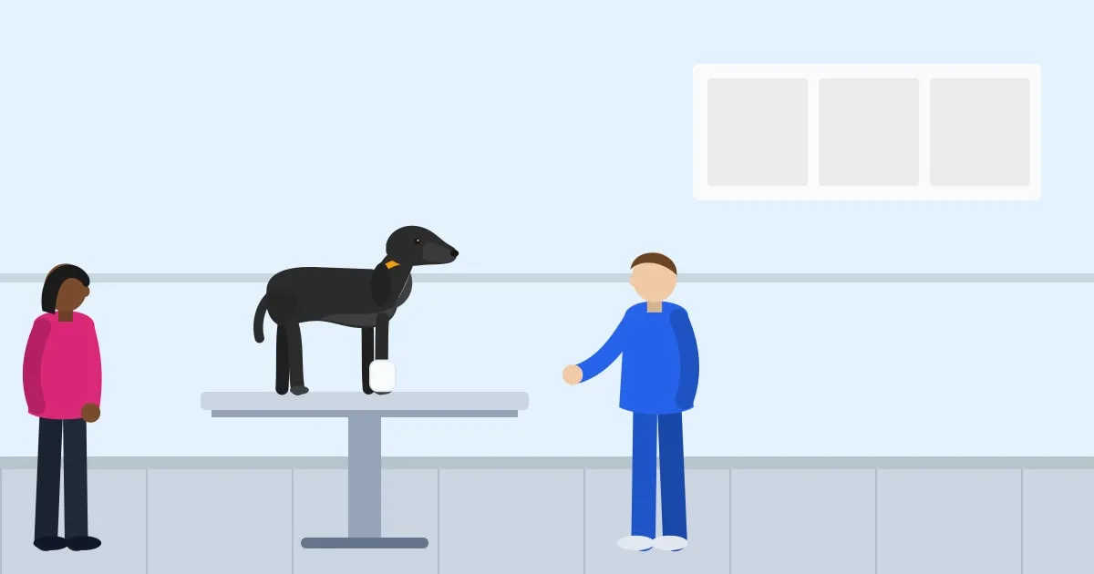 Illustration of a veterinarian checking a Labrador with a bandaged paw on a clinic exam table