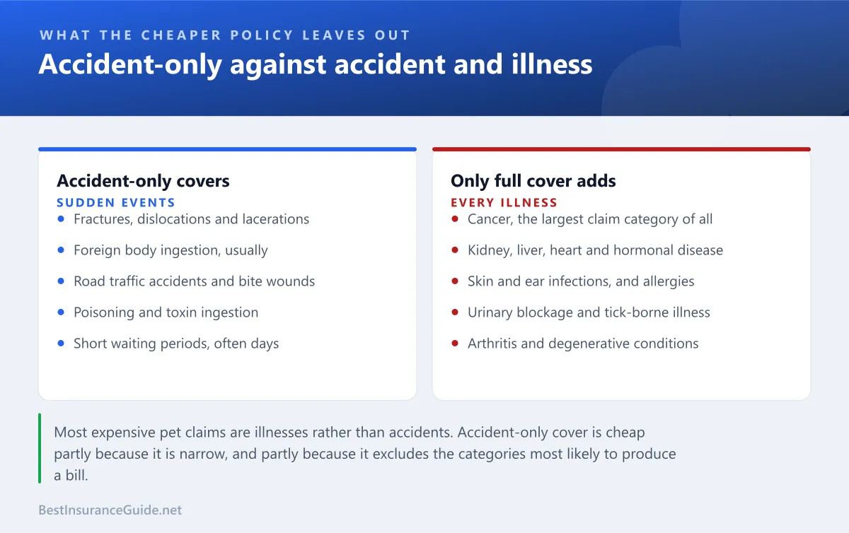 Comparison panel showing what accident-only pet insurance covers against everything an accident and illness policy adds