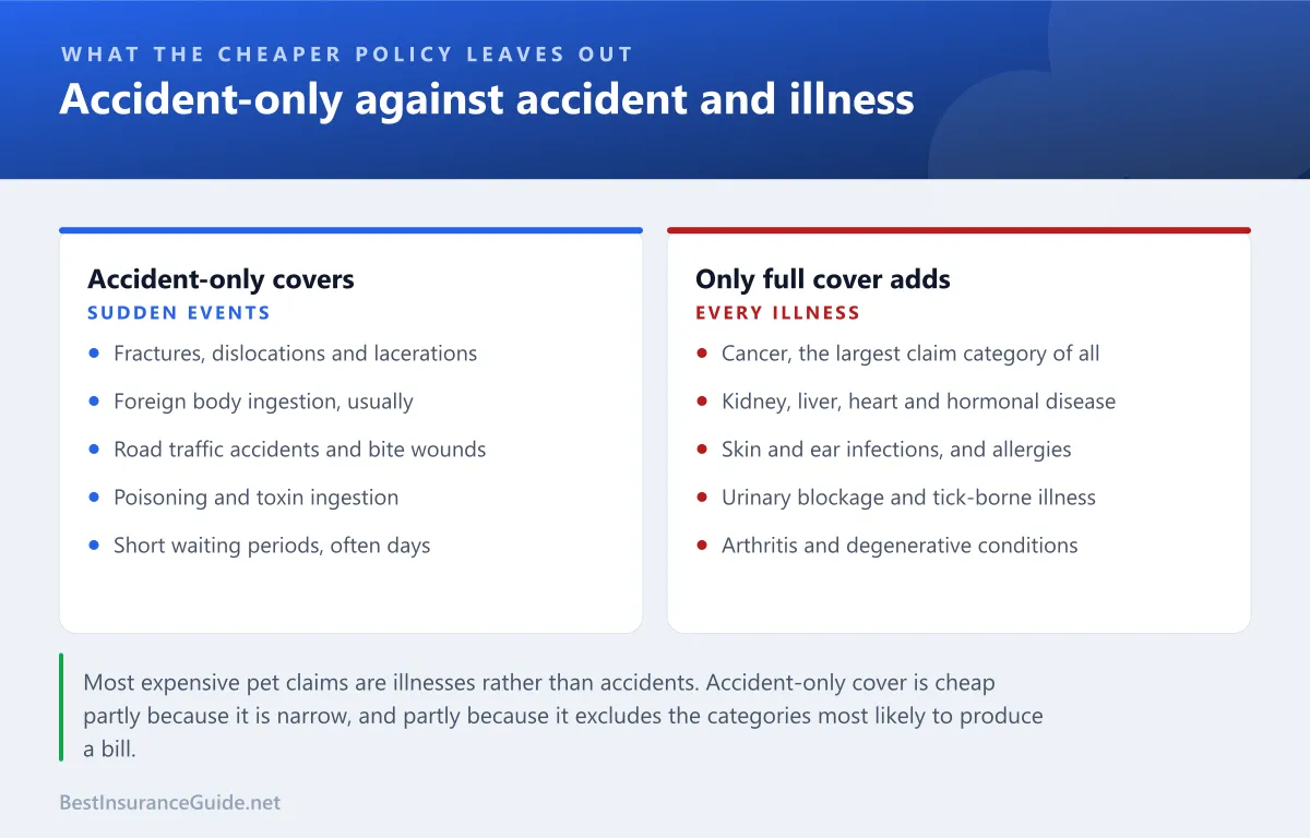 Comparison panel showing what accident-only pet insurance covers against everything an accident and illness policy adds