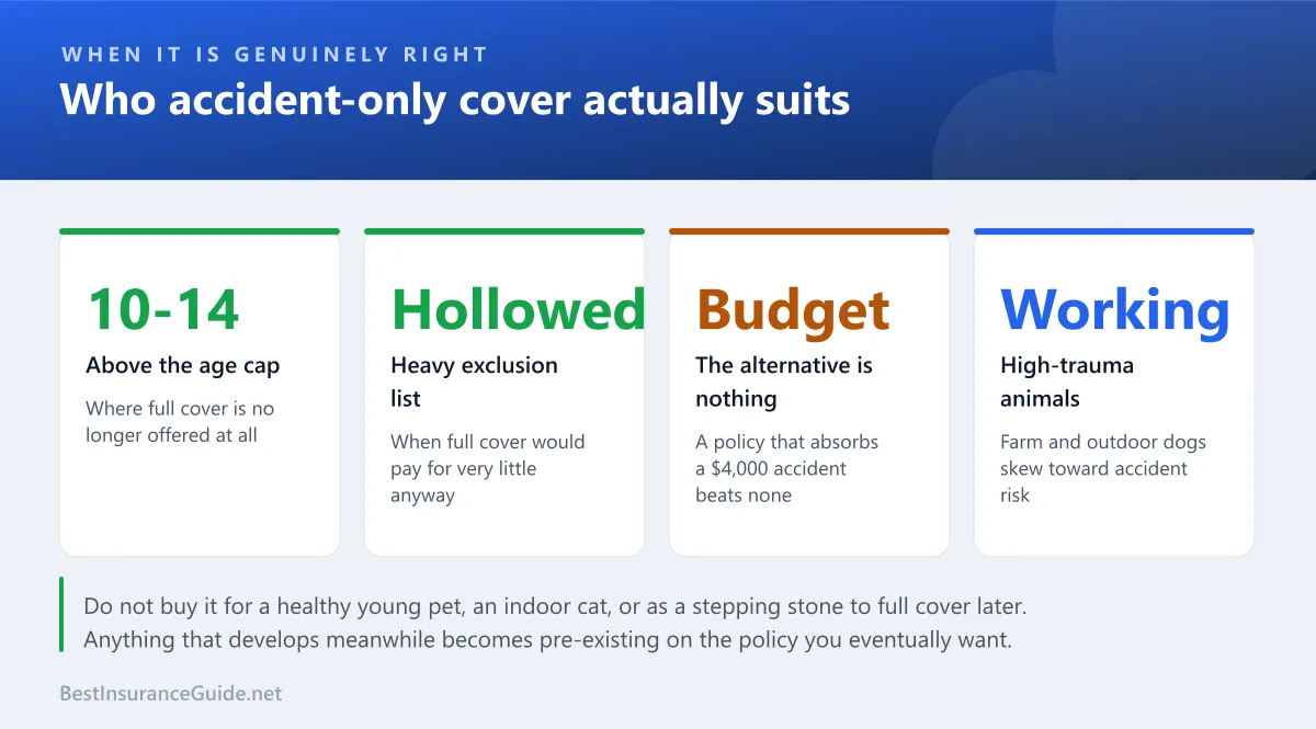 Statistics panel showing who accident-only pet insurance genuinely suits, including older pets above age caps, animals with extensive exclusions and tight budgets