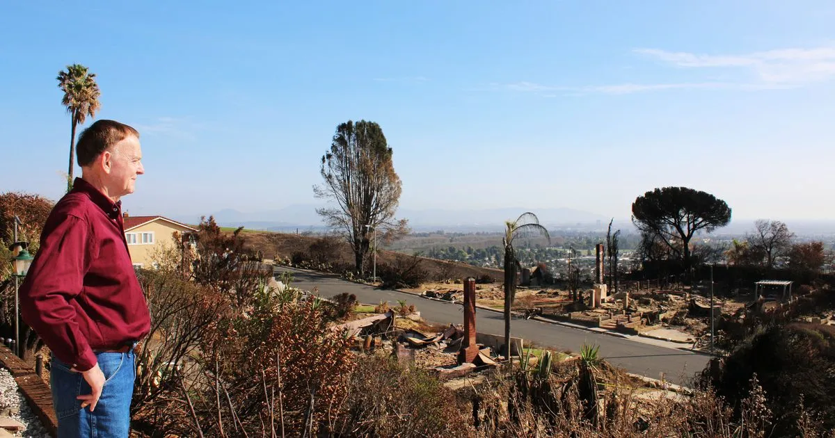 A homeowner looks out over neighboring homes destroyed by the Thomas Fire in Ventura County, California