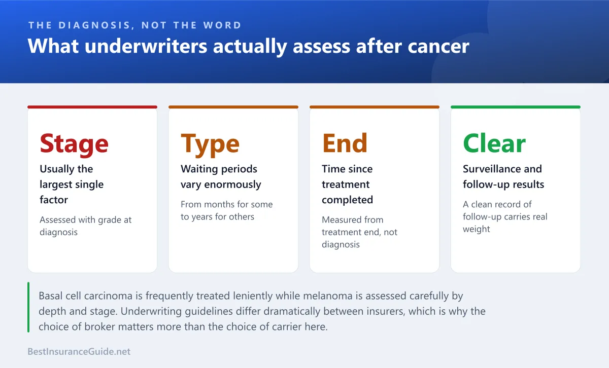 Statistics panel showing the factors underwriters assess after a cancer diagnosis and why the specific diagnosis matters more than the category