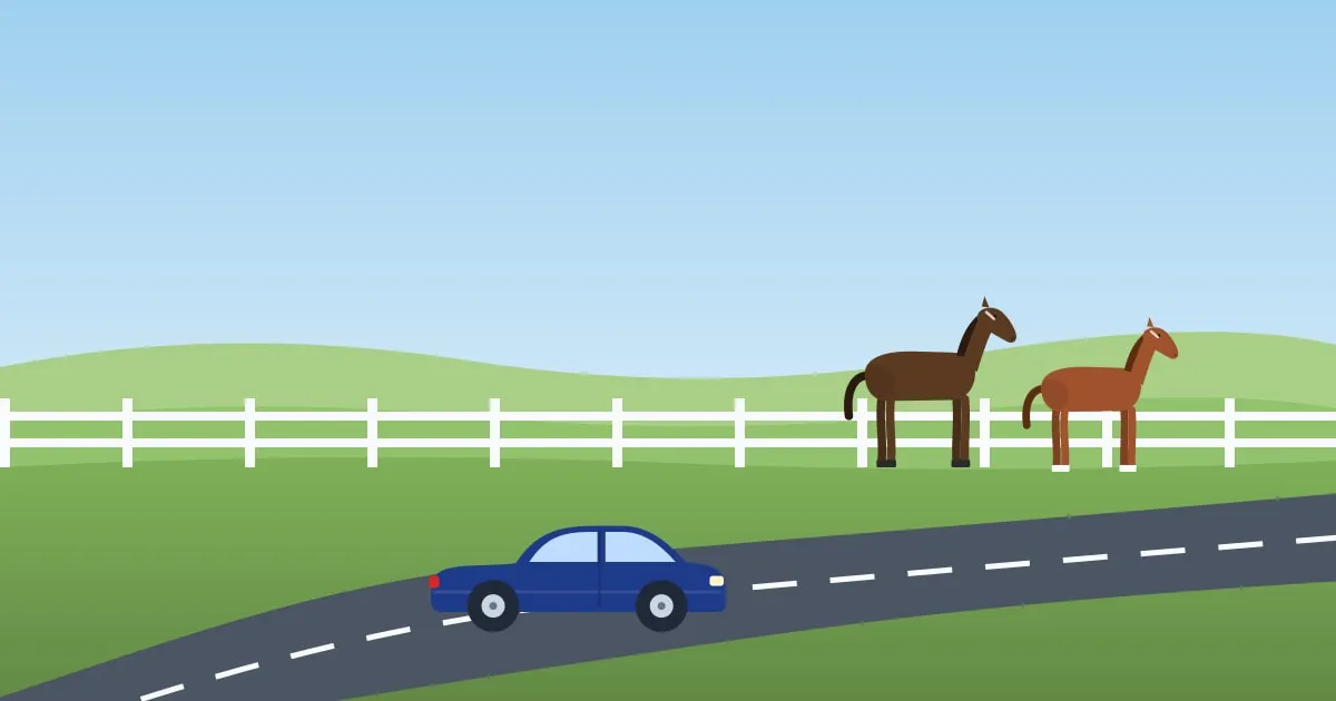 Illustration of a car on a winding road past white horse fences and rolling green bluegrass pastures