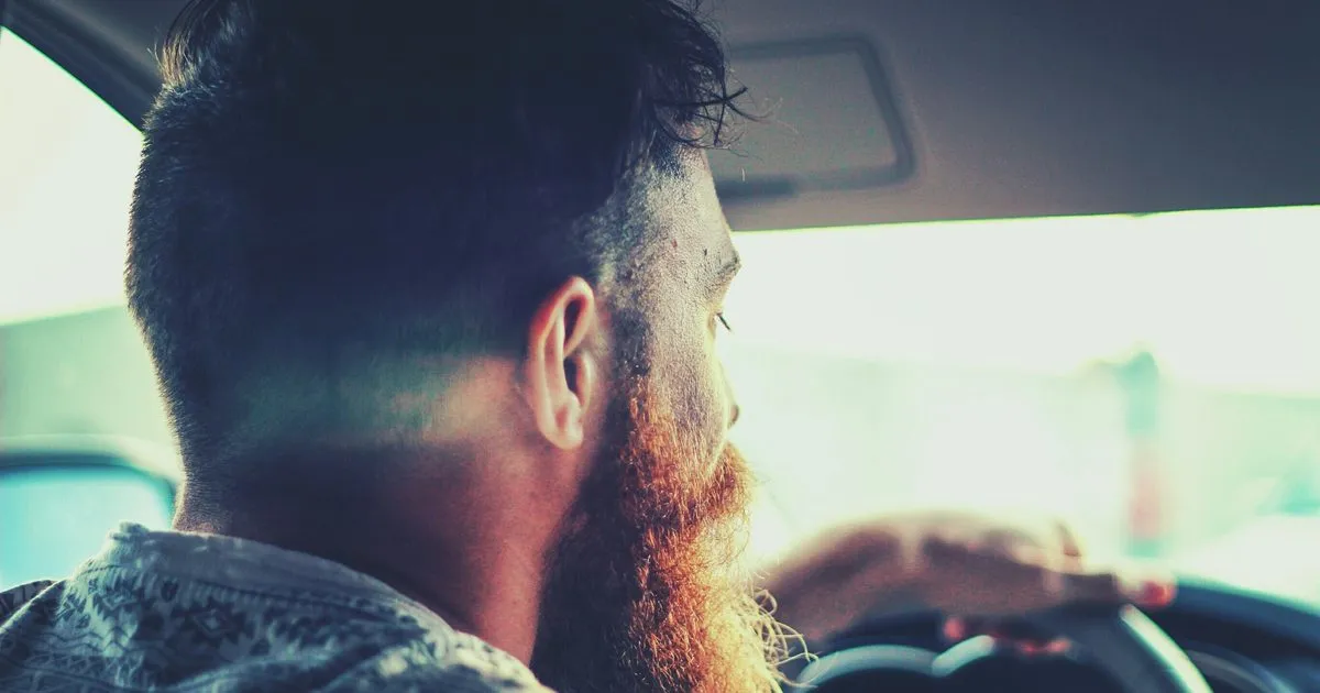 A man driving a car on a sunny day, seen from the back seat