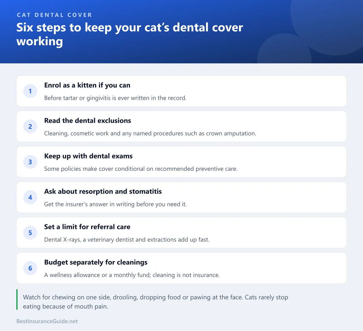 Checklist of six steps to keep a cat's dental insurance cover valid, from enrolling young to keeping dental exam records