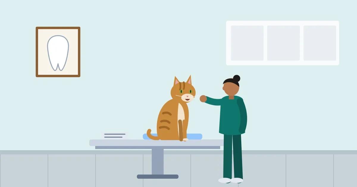 Illustration of a veterinarian examining a tabby cat’s teeth on a clinic exam table