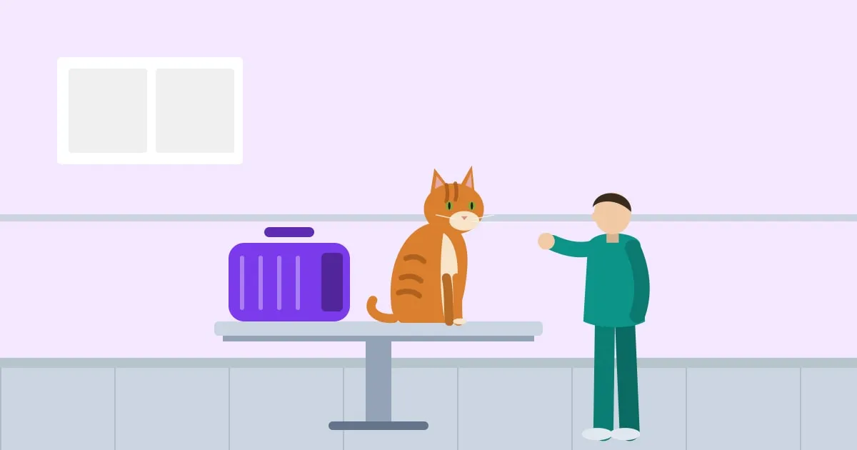 Illustration of a ginger cat sitting beside its open carrier on a vet clinic exam table