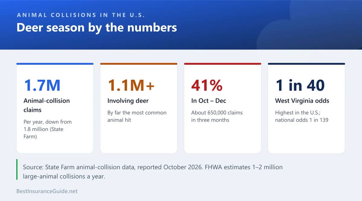 Statistics panel of U.S. animal-collision figures: about 1.7 million claims a year, 1.1 million involving deer, 41% in October to December, and 1-in-40 odds in West Virginia