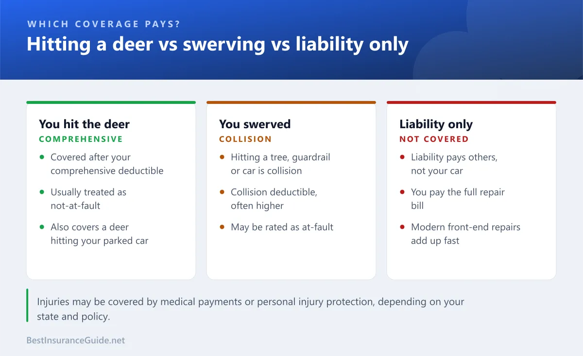 Comparison of how car insurance treats hitting a deer, swerving to avoid one, and carrying only liability coverage