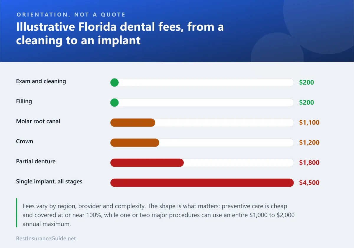Bar chart comparing typical Florida dental fees for common procedures from a cleaning to an implant