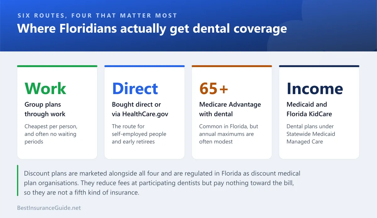 Panel of the main sources of dental coverage in Florida and who each one suits