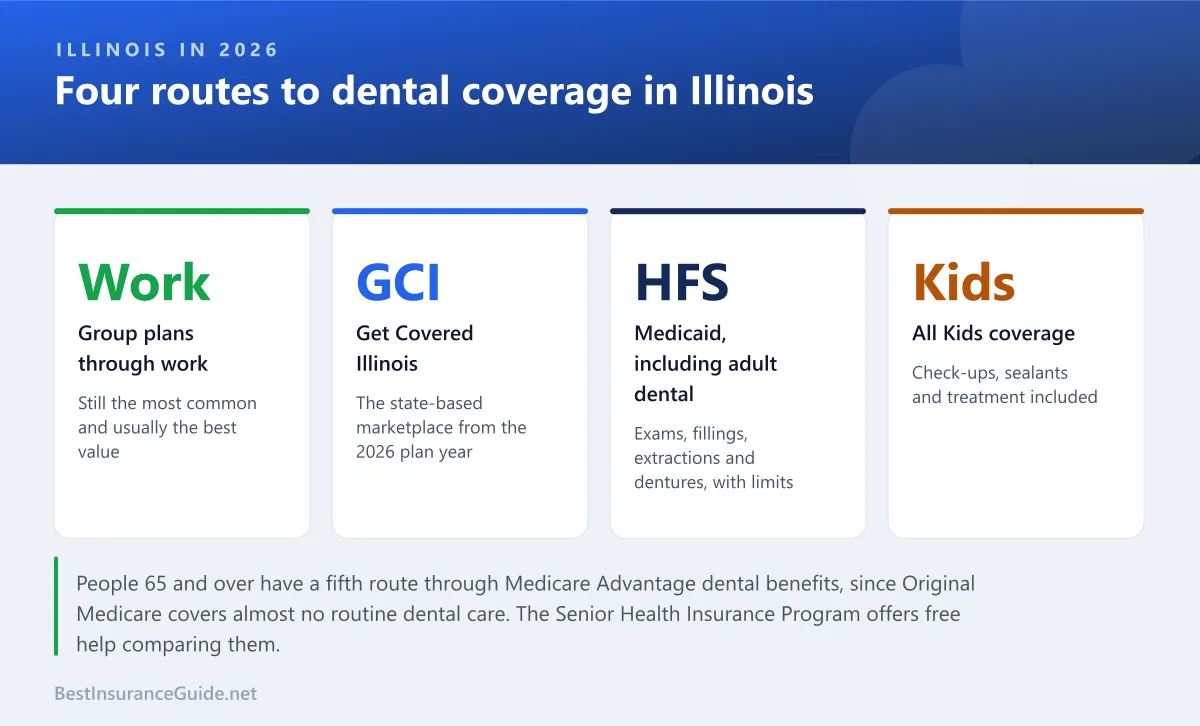 Panel of the main routes to dental coverage in Illinois and who each suits