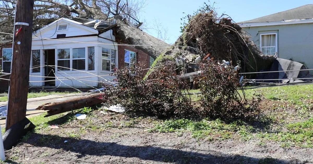 Uprooted trees and downed power lines in front of damaged homes in Panama City, Florida, after Hurricane Michael