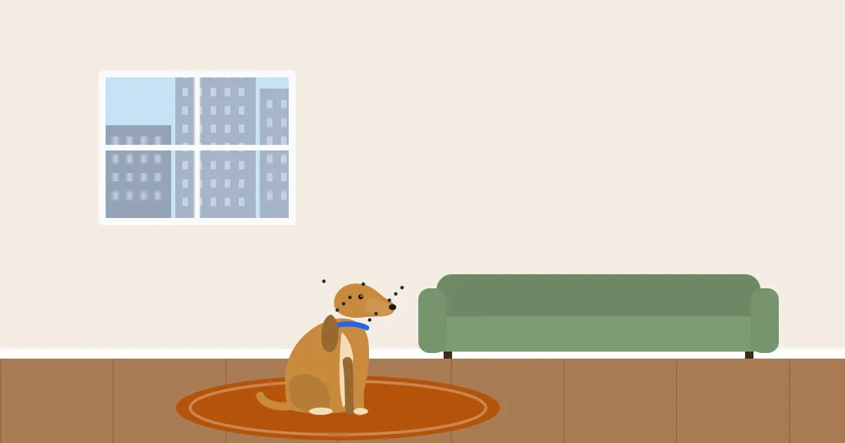 Illustration of a dog scratching its ear on a rug in a rental apartment living room