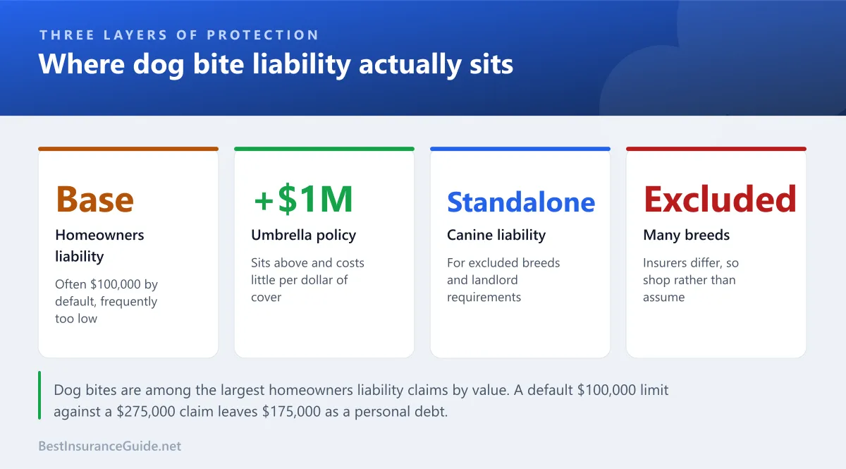 Statistics panel showing the three layers of dog bite liability protection: the homeowners limit, an umbrella policy above it, and standalone canine liability for excluded breeds