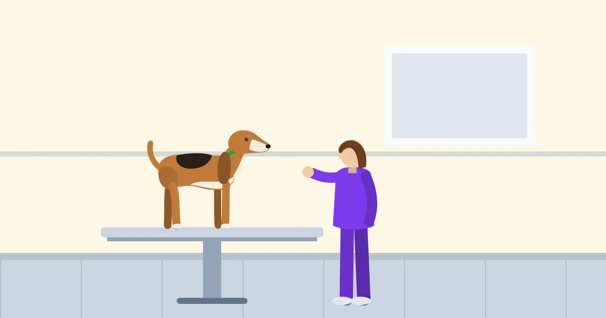 Illustration of a veterinarian checking a beagle’s teeth on an exam table