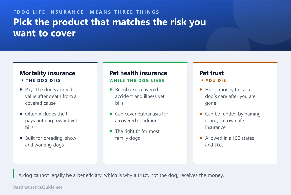 Comparison of the three products people mean by dog life insurance: animal mortality insurance, pet health insurance and a pet trust funded by your own life insurance