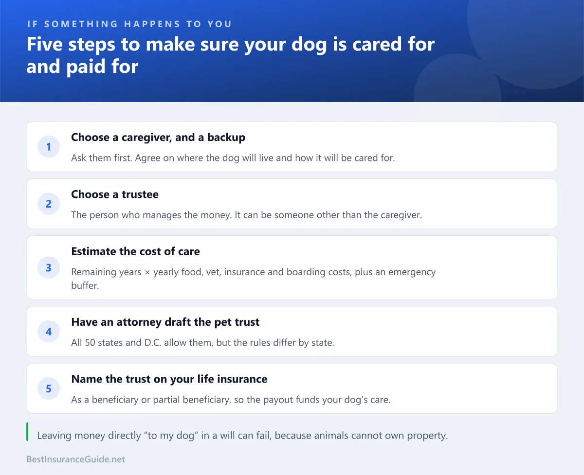 Five steps to provide for your dog after your death using a pet trust funded by your own life insurance