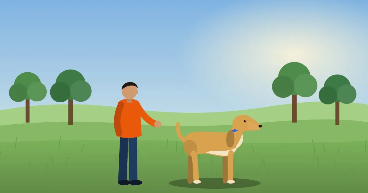 Illustration of a man walking a golden retriever across a green park with trees and rolling hills behind them
