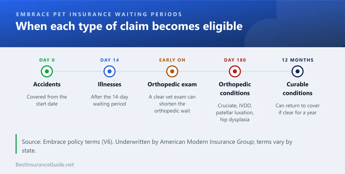 Timeline of Embrace pet insurance waiting periods for accidents, illnesses and orthopedic conditions