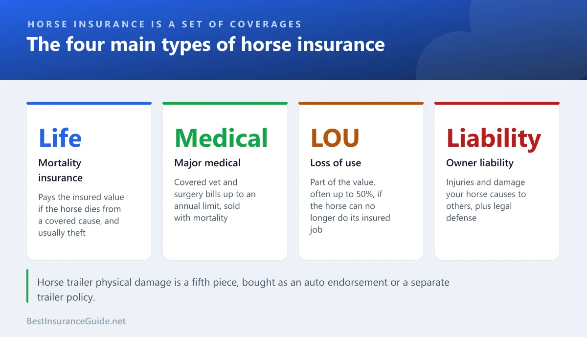 Panel of the four main horse insurance coverages: mortality, major medical, loss of use and liability