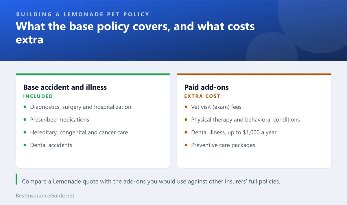 Comparison of what Lemonade's base pet policy covers and what needs an add-on