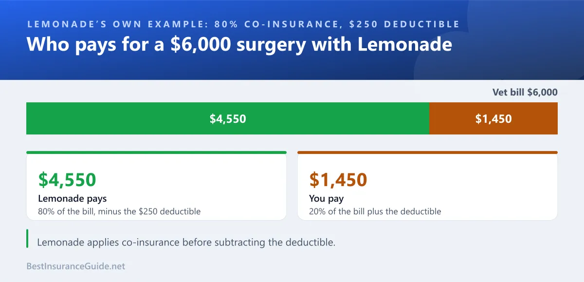 How a $6,000 Lemonade pet insurance claim splits between the owner and the insurer