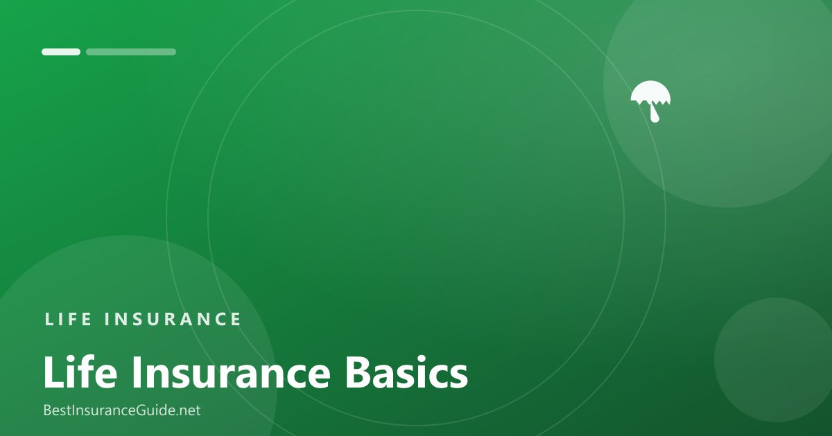 Life insurance basics explained banner