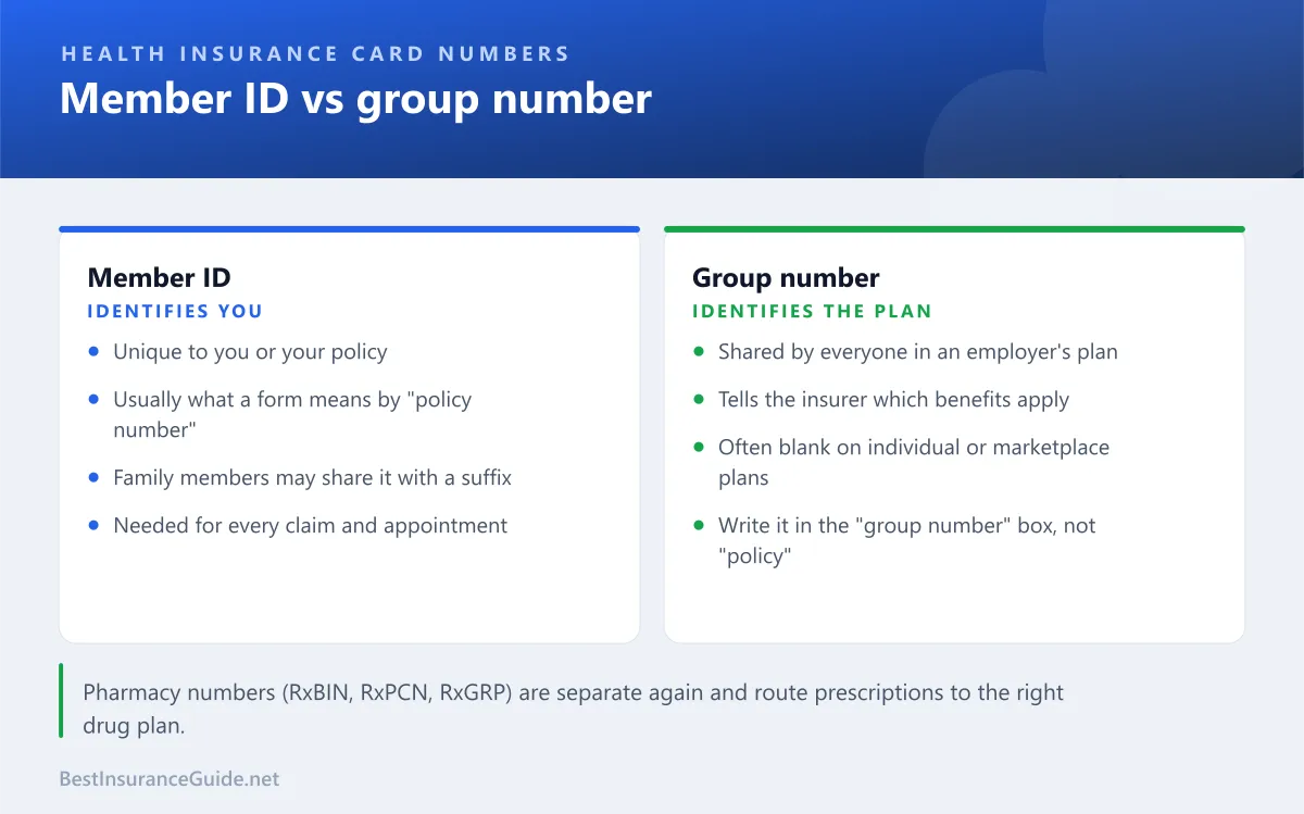Comparison of the member ID, which identifies you, and the group number, which identifies your employer's plan