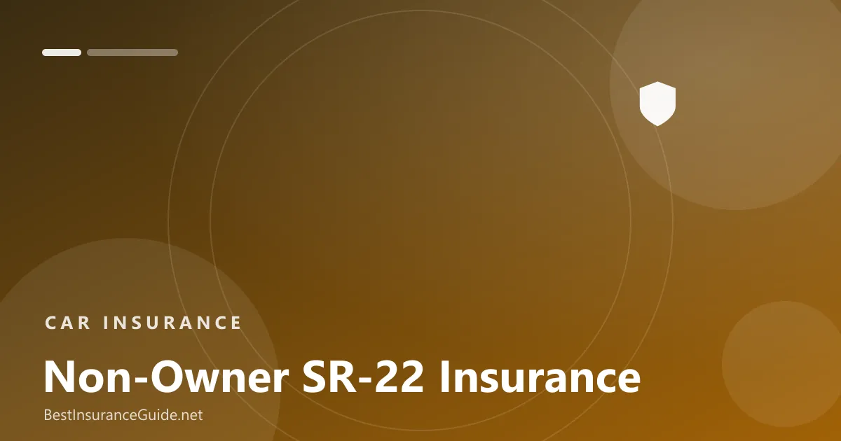 Non-owner SR-22 insurance banner