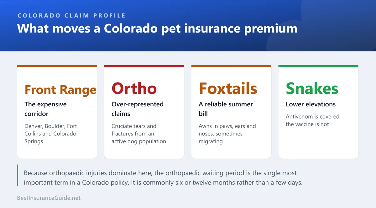 Statistics panel showing the local factors that drive pet insurance premiums in Colorado, including Front Range vet costs, specialist density and outdoor injury claims