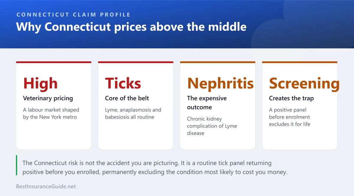 Statistics panel showing what drives pet insurance costs in Connecticut, including high veterinary pricing, referral hospital density and tick-borne disease frequency