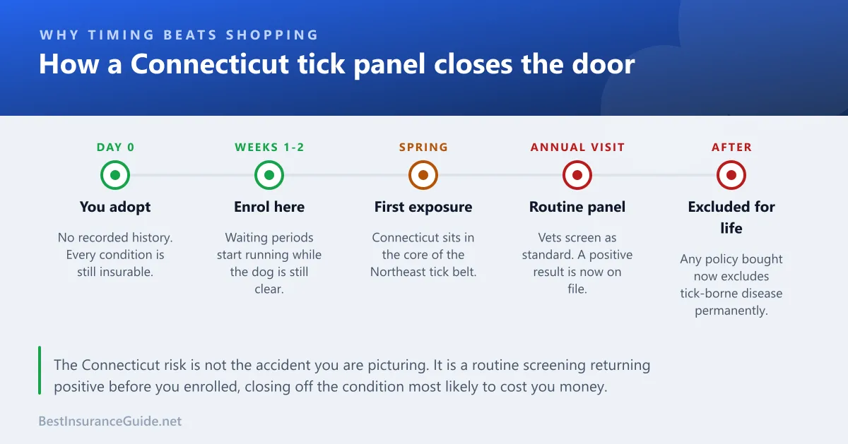 Timeline showing how a routine Connecticut tick panel turns tick-borne disease into a permanently excluded pre-existing condition