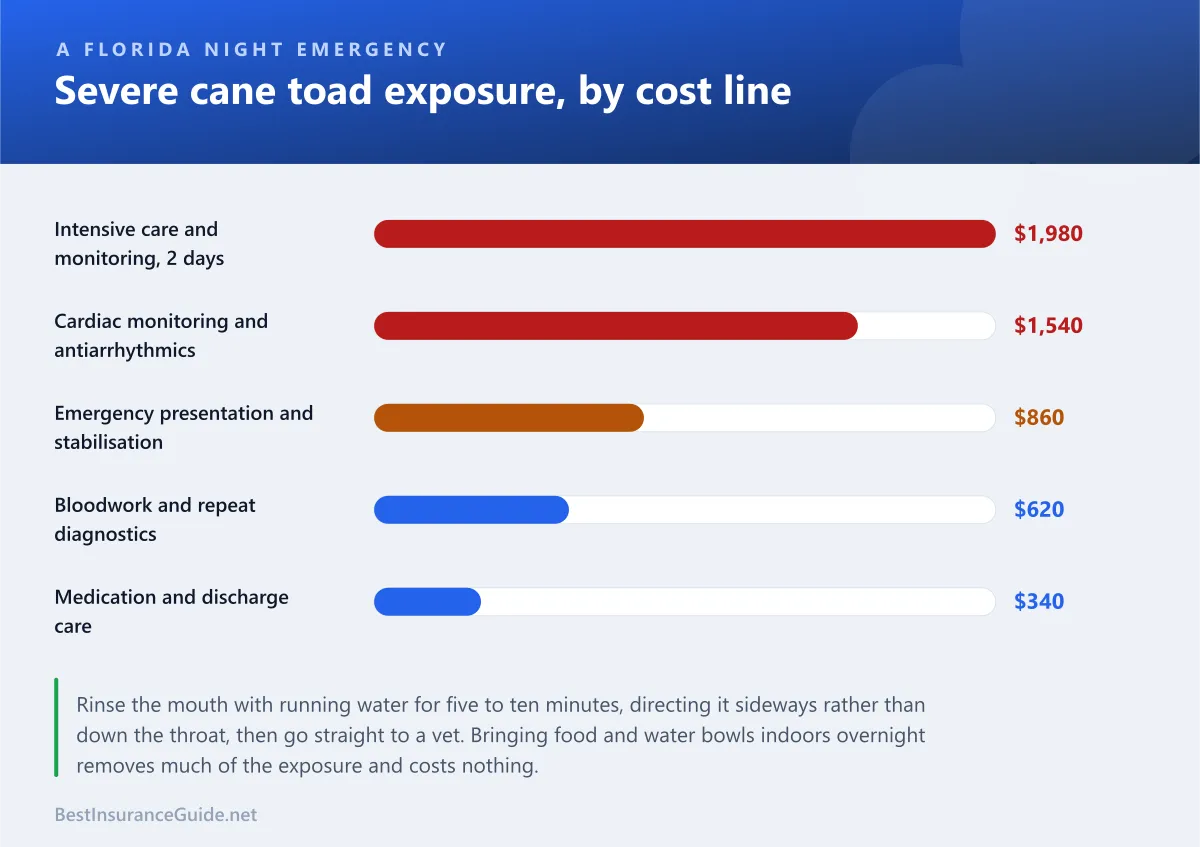 Bar chart breaking a Florida cane toad poisoning emergency into its cost lines, with intensive monitoring and cardiac management the largest components