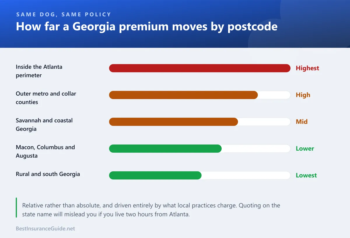 Bar chart comparing indicative pet insurance premiums across Atlanta metro, mid-sized Georgia cities and rural Georgia for the same animal
