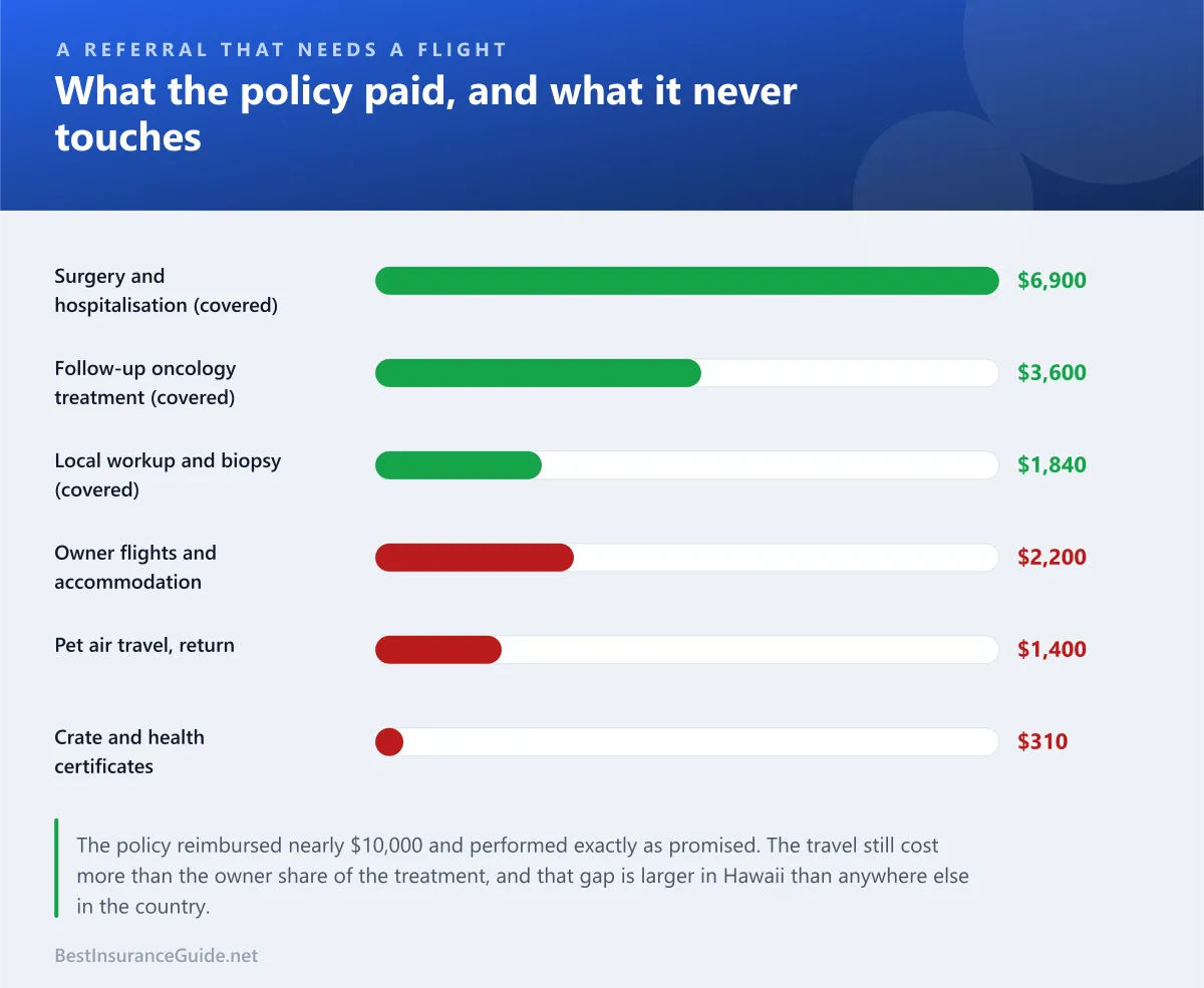 Bar chart separating the covered veterinary costs of a mainland referral from the travel and logistics costs that no pet insurance policy pays