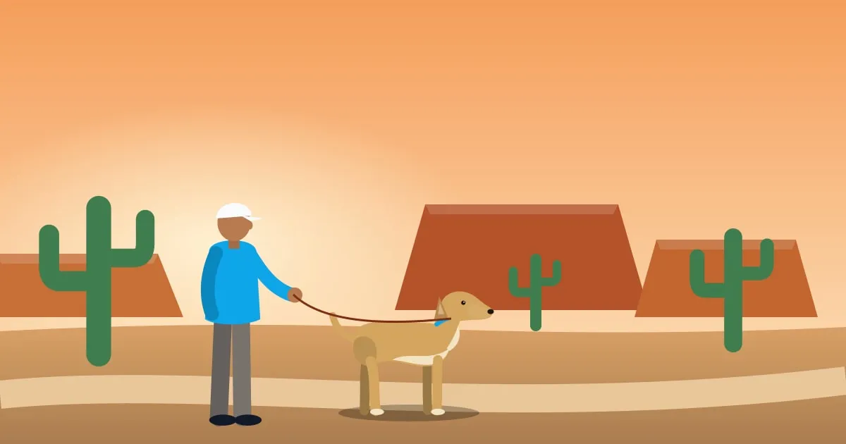 Illustration of a dog and its owner on a desert trail at sunrise among saguaro cactus and red rock mesas