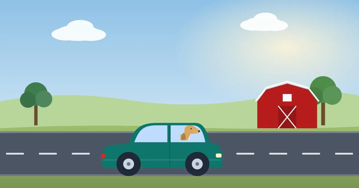 Illustration of a happy dog leaning out of a car window on a road trip through open countryside