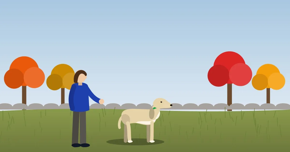 Illustration of an owner checking their dog for ticks at the edge of a New England woodland in autumn