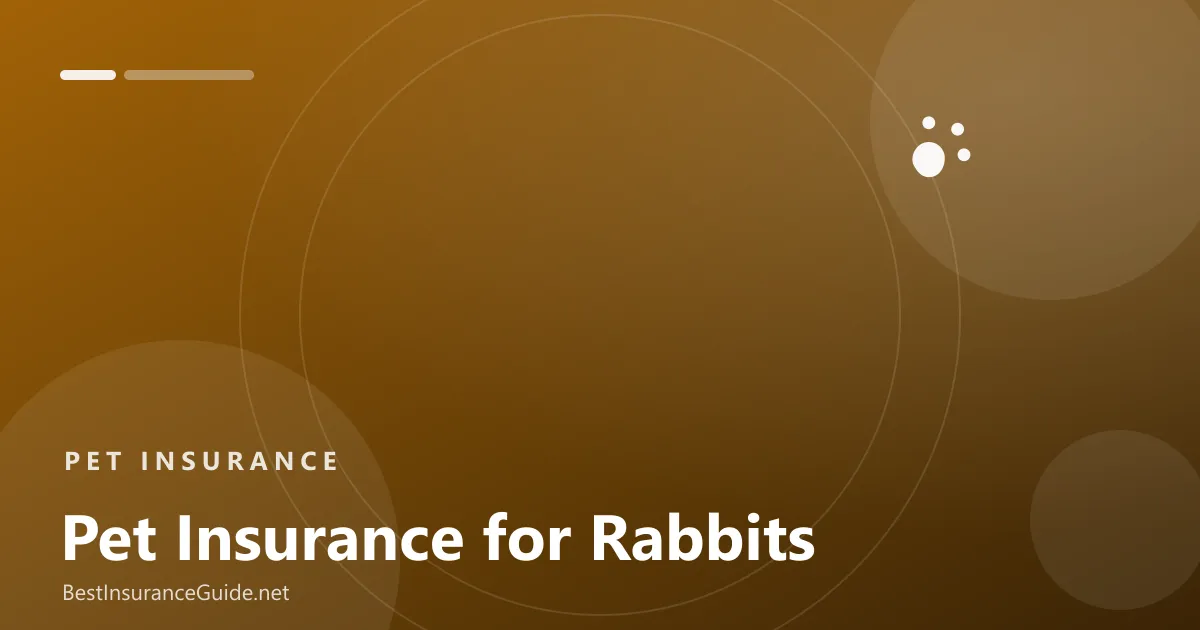 Pet insurance for rabbits banner