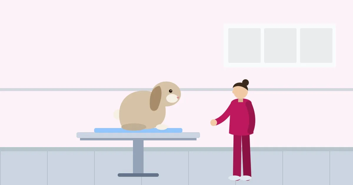 Illustration of a veterinarian gently examining a lop-eared rabbit on a towel
