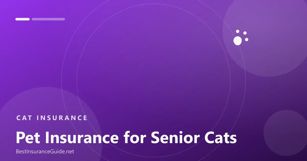 Pet insurance for senior cats banner