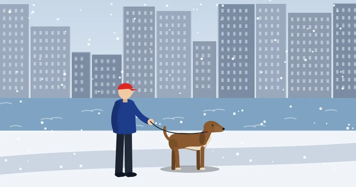 Illustration of an owner walking a dog on a snowy lakefront path with a city skyline across the water