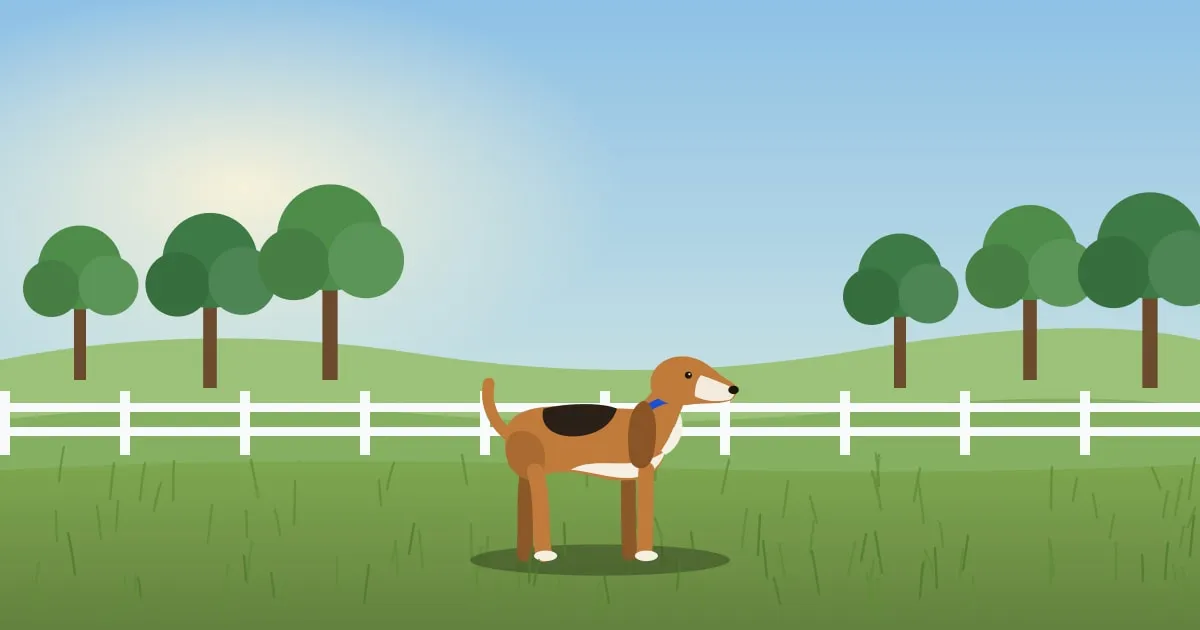 Illustration of a beagle in tall summer grass beside a white horse fence and a hardwood forest