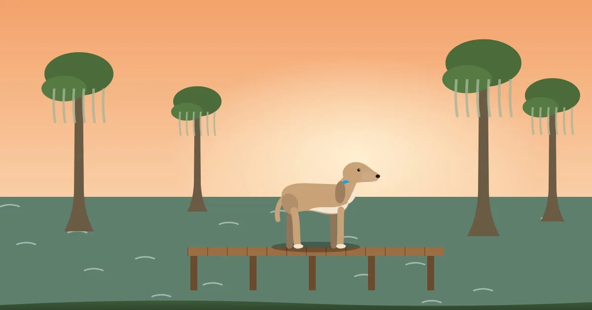 Illustration of a dog on a wooden dock over a cypress bayou with hanging moss at dusk
