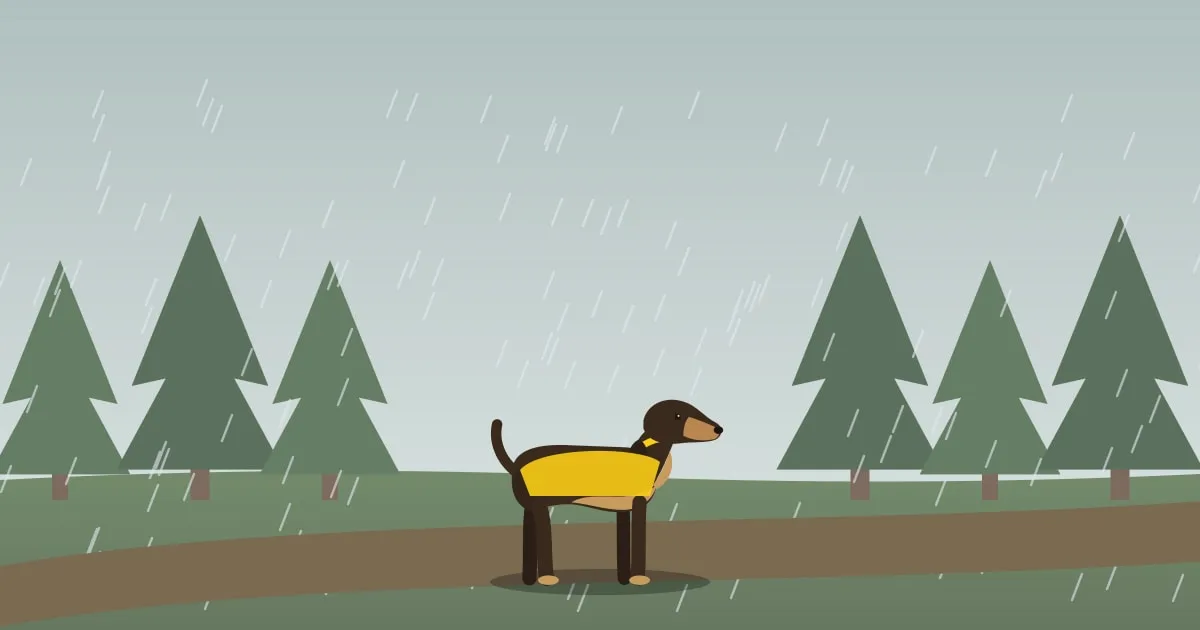 Illustration of a dog walking through a misty, mossy evergreen forest in the rain