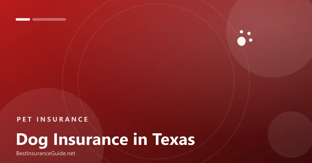 Dog insurance in Texas banner