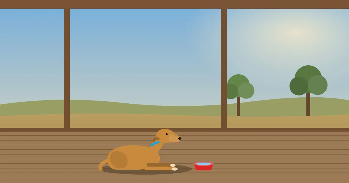 Illustration of a dog lying in porch shade beside a water bowl on a hot day in the Texas Hill Country