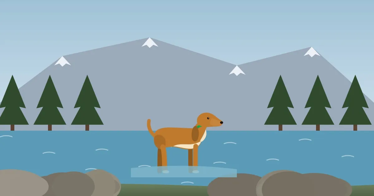 Illustration of a dog standing in a clear Pacific Northwest river among rounded stones, evergreen forest behind
