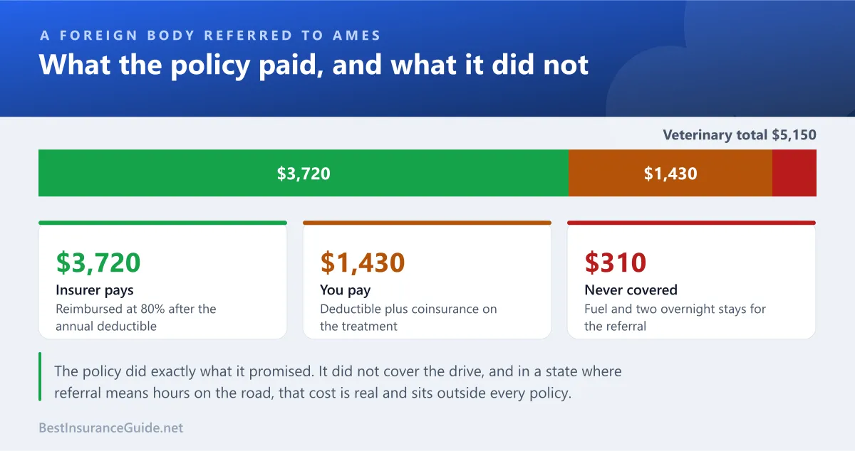 Split showing how a $5,150 Iowa foreign body surgery claim divides between the insurer and the owner, with travel costs falling outside the policy